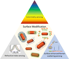 Graphical abstract: Recent advances in surface modified gold nanorods and their improved sensing performance
