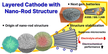 Graphical abstract: Nano-rods in Ni-rich layered cathodes for practical batteries