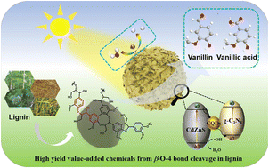 Graphical abstract: Z-scheme heterojunction g-C3N4/CQD/CdZnS with high redox capability for enhancing visible light-driven photocatalytic depolymerization of lignin into aromatic monomers
