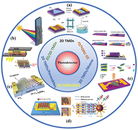Graphical abstract: Recent advances in 2D transition metal dichalcogenide-based photodetectors: a review