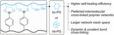 Graphical abstract: Dual crosslinking polymer networks: correlation between polymer topologies and self-healing efficiency