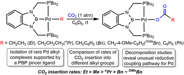 Graphical abstract: Comparative study of CO2 insertion into pincer supported palladium alkyl and aryl complexes