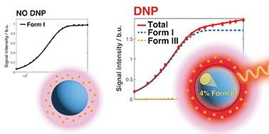 Graphical abstract: Exploiting solid-state dynamic nuclear polarization NMR spectroscopy to establish the spatial distribution of polymorphic phases in a solid material