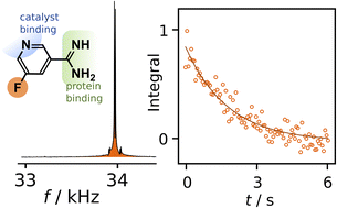 Graphical abstract: Biomolecular interactions studied by low-field NMR using SABRE hyperpolarization