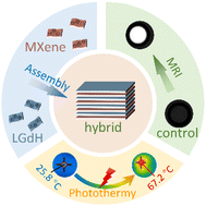 Graphical abstract: Rare-earth hydroxide/MXene hybrid: a promising agent for near-infrared photothermy and magnetic resonance imaging