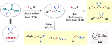 Graphical abstract: Programmable synthesis of difluorinated hydrocarbons from alkenes through a photocatalytic linchpin strategy