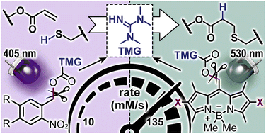 Graphical abstract: Record release of tetramethylguanidine using a green light activated photocage for rapid synthesis of soft materials