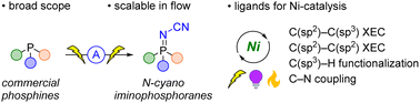 Graphical abstract: Electrosynthesis of iminophosphoranes and applications in nickel catalysis
