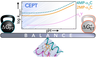 Graphical abstract: Switching the proton-coupled electron transfer mechanism for non-canonical tyrosine residues in a de novo protein