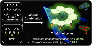 Graphical abstract: Thia[n]helicenes with long persistent phosphorescence