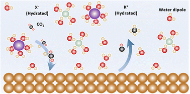 Graphical abstract: Computational electrocatalysis beyond conventional hydrogen electrode model: CO2 reduction to C2 species on copper facilitated by dynamically formed solvent halide ions at the solid–liquid interface