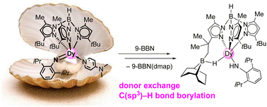 Graphical abstract: Terminal dysprosium and holmium organoimides