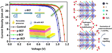 Graphical abstract: Engineering the passivation routes of perovskite films towards high performance solar cells