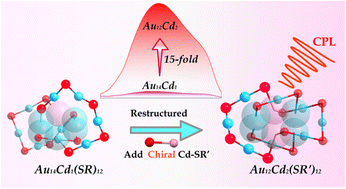 Graphical abstract: Construction of an Au12Cd2 nanocluster with circularly polarized luminescence by a metal- and ligand-exchange strategy