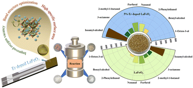 Graphical abstract: Role of Er doping on isoamyl alcohol sensing performance of LaFeO3 microspheres and its prospects in wheat mildew detection