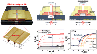 Graphical abstract: Designing buried-gate InGaZnO transistors for high-yield and reliable switching characteristics