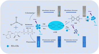 Graphical abstract: Dual-signal detection of tannic acid in red wines based on the peroxidase activity of carbon dots