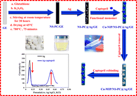Graphical abstract: Electrochemical determination of captopril using a disposable graphite electrode modified with a molecularly imprinted film, accompanied by a ratiometric read-out