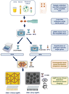 Graphical abstract: Isothermal recombinase polymerase amplification and silver nanoparticle assay: a sustainable approach for ultrasensitive detection of Klebsiella pneumoniae