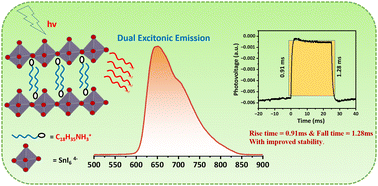 Graphical abstract: Red luminescent water stable lead-free 2D tin halide perovskite nanocrystals for photodetectors
