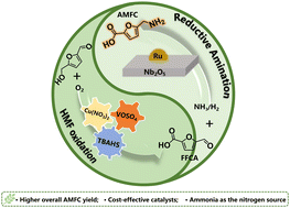 Graphical abstract: Hybrid homogeneous/heterogeneous relay catalysis for efficient synthesis of 5-aminomethyl-2-furancarboxylic acid from HMF