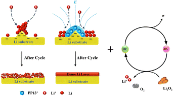 Graphical abstract: Piperidine-based ionic liquid additive with electrostatic shielding and redox activity enabling advanced lithium–oxygen batteries