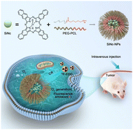 Graphical abstract: Radiopharmaceutical-activated silicon naphthalocyanine nanoparticles towards tumor photodynamic therapy