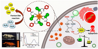 Graphical abstract: Atomically precise copper nanoclusters mediated Fenton-like reaction for cancer chemodynamic therapy