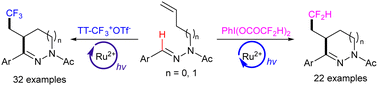 Graphical abstract: Photocatalytic synthesis of polyfluoroalkylated dihydropyrazoles and tetrahydropyridazines