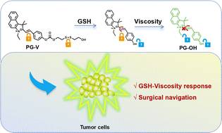 Graphical abstract: Glutathione and viscosity double-locked response fluorescent probe for imaging and surgical navigation of hepatocellular carcinoma