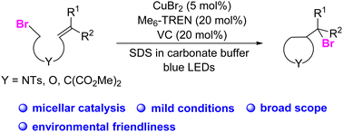 Graphical abstract: Copper-catalysed bromine atom transfer cyclisation in SDS micelles