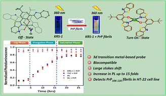 Graphical abstract: A biocompatible Ni(ii) complex as an amyloid sensor for human PrP106–126 fibrillar aggregates