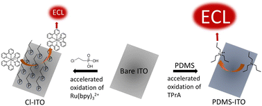 Graphical abstract: Regulating the work function and surface hydrophobicity of an indium tin oxide electrode for enhanced electrochemiluminescence analysis
