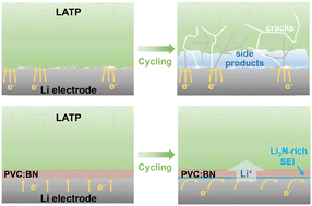 Graphical abstract: Stabilizing the interface of Li1.3Al0.3Ti1.7(PO4)3 and lithium electrodes via an interlayer strategy in solid-state batteries