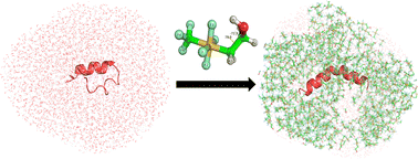Graphical abstract: Influence of aqueous solutions of 2-(tetrafluoro(trifluoromethyl)-λ6-sulfanyl-ethan-1-ol (CF3SF4–ethanol) on the stabilization of the secondary structure of melittin: comparison with aqueous trifluoroethanol using molecular dynamics simulations and circular dichroism experiments