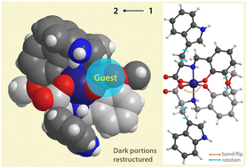 Graphical abstract: A single H-bond triggers the formation of a cleft around Et3NH+ through bond rearrangement and rotations of arms in both Co(iii) and Fe(iii) complexes