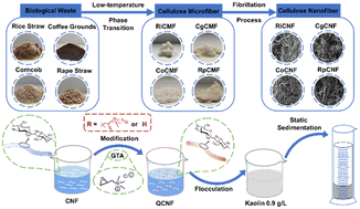 Graphical abstract: Removal of suspended solids from water by waste biomass-based cationized cellulose nanofibers: a comparative analysis of flocculation performance from different biomass sources