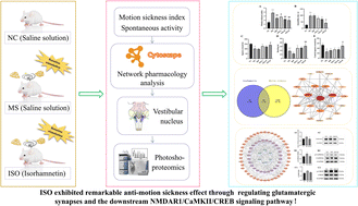 Graphical abstract: Deep insights into the mechanism of isorhamnetin's anti-motion sickness effect based on photoshoproteomics