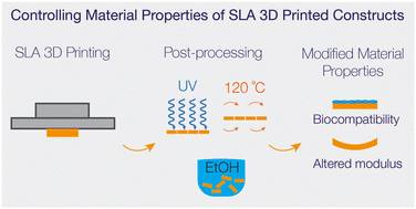 Graphical abstract: Achieving biocompatibility and tailoring mechanical properties of SLA 3D printed devices for microfluidic and cell culture applications