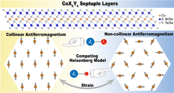 Graphical abstract: CoX2Y4: a family of two-dimensional magnets with versatile magnetic order