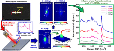 Graphical abstract: Laser polarization as a critical factor in the SERS-based molecular sensing performance of nano-gapped Au nanowires