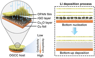 Graphical abstract: An integrated dual-gradient host facilitates oriented bottom-up lithium growth in lithium metal anodes