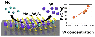 Graphical abstract: Mechanical modulation of 2D transition metal dichalcogenide alloys