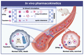 Graphical abstract: An assembly modules deformation strategy improved the chemical stability and self-assembly stability of docetaxel prodrugs nanoassemblies