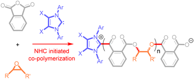 Graphical abstract: N-Heterocyclic carbene-initiated epoxide/anhydride ring-opening copolymerization: effective and selective organoinitiators for the production of various polyesters