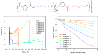 Graphical abstract: Novel biobased poly(hexamethylene-co-diethylene glycol furandicarboxylate) copolyesters with improved mechanical properties and hydrolytic degradation rates