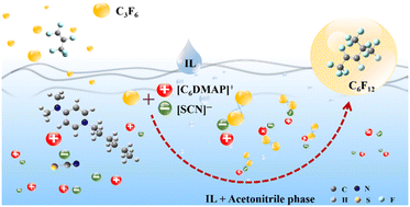 Graphical abstract: Efficient dimerization of perfluoroolefin catalyzed by strong nucleophilic bifunctional ionic liquids