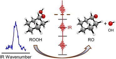 Graphical abstract: Vibrational spectroscopy and dissociation dynamics of cyclohexyl hydroperoxide