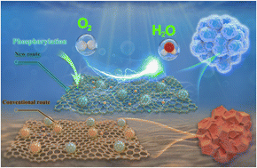 Graphical abstract: Sharply expanding single-atomically dispersed Fe–N active sites through bidirectional coordination for oxygen reduction