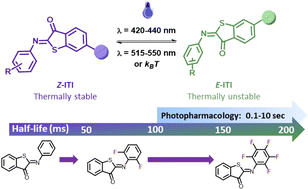 Graphical abstract: Getting a molecular grip on the half-lives of iminothioindoxyl photoswitches